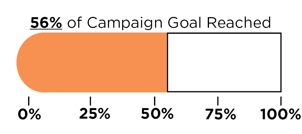 Campaign 2016: Just 6 Weeks Left!