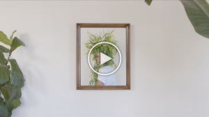 A group of dancers gather around a framed portrait while wearing plants on their heads.