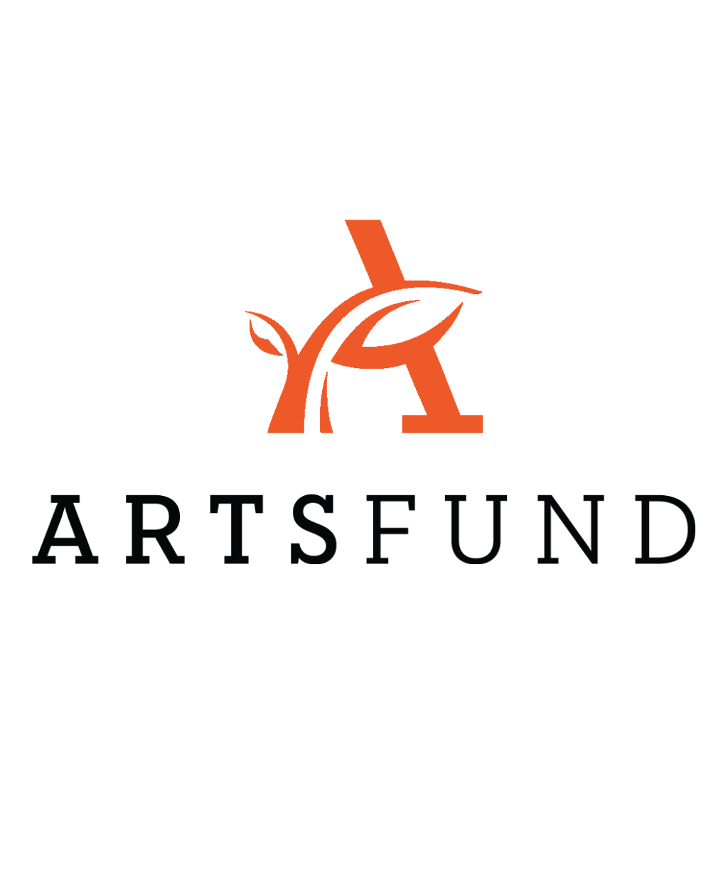 Community accelerator grant program artsfund
