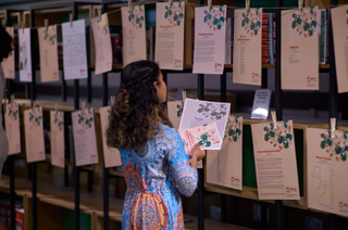 A child in a room with a bunch of designed papers organized into a line on the wall. The child is holding one of the papers in their hands and is studying the wall.