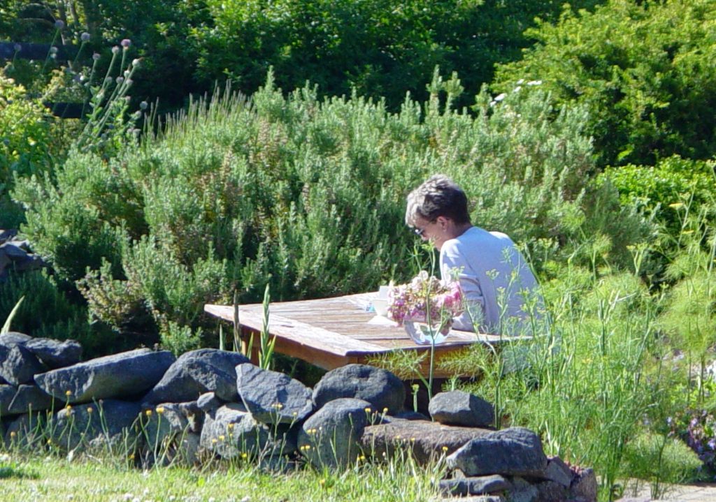 Person sitting alone at a wooden picnic table surrounded by lush green bushes and stone edging in a garden.