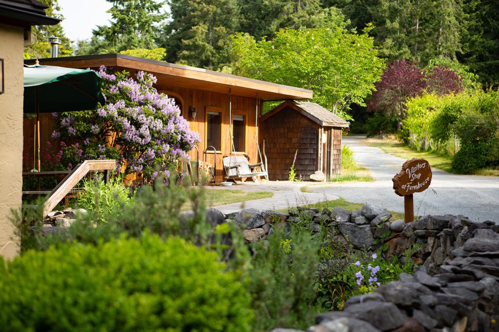 Cozy wooden cabin surrounded by lush greenery and blooming lilac bushes on a sunny day.
