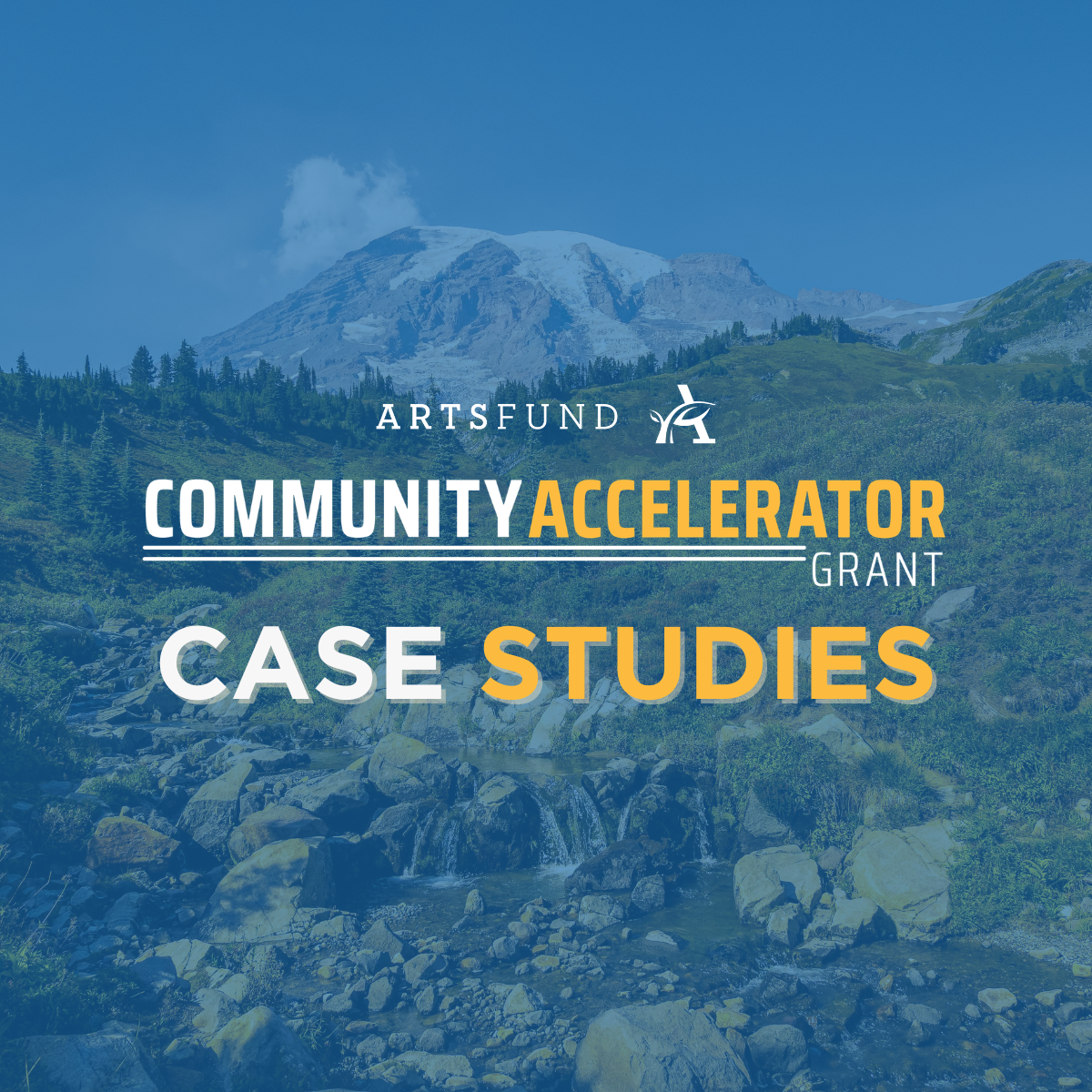 Community Accelerator Grant Case Studies | ArtsFund
